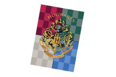 Warner Bros Detská fleecová deka 140x100 cm - Harry Potter / Bradavice