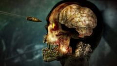 Rebellion Zombie Army 4: Dead War (PS4)