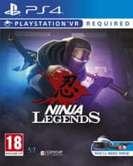 Perpetual Ninja Legends VR PS4