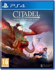 INNA Citadel: Forged with Fire (PS4)