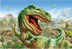 DINO Puzzle Súboj dinosaurov 2x48 dielikov