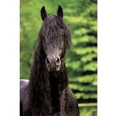 Schmidt 500 ks puzzle Čierny kôň