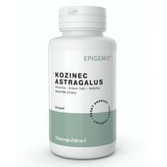 Epigemic Kozinec Astragalus 60 kapsúl