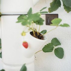 GUSTA GARDEN Hydroponický terasovitý kvetináč pre rýchlo rastúce jahody, bylinky a kvety | SISSI STRAWBERRY CLASSIC