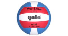 Gala BV4051S Training Mini volejbalová lopta č. 4