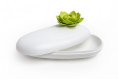 Qualy Multifunkčné púzdro Lotus Pebble Box, biele-zelené