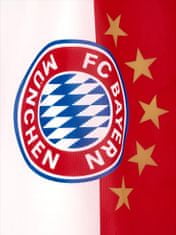 Fan-shop Vlajka BAYERN MNICHOV Logo