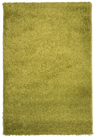monoCarpet Kusový koberec Efor Shaggy 1903 Green