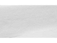 ECOLINE ELLIS Ecoline Recyklovaný, dvojvrstvový skladaný uterák, biely papierový uterák 12000 kusy
