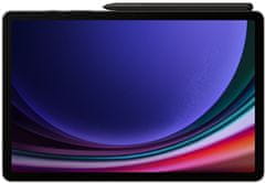 SAMSUNG Galaxy Tab S9, 12GB/256GB, Gray