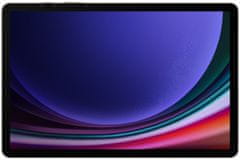 SAMSUNG Galaxy Tab S9 5G, 12GB/256GB, Gray