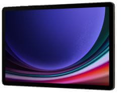 SAMSUNG Galaxy Tab S9, 12GB/256GB, Gray