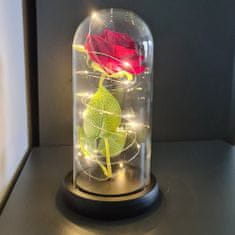 Malatec  21619 LED ruža v sklenenej váze