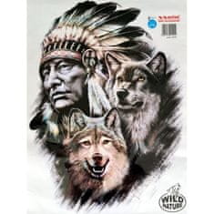 Avisa Samolepiaci dekor indian s vlkmi