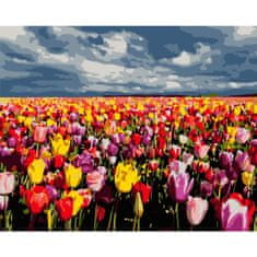 PIPPER. Maľovanie podľa čísiel "Tulipánove pole" 50x40 cm, plátno vypnuté na ráme