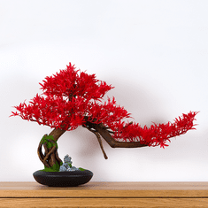 Bondek Pokojová dekorativní bonsai - Javor (PN-4)