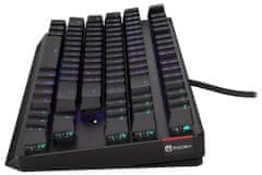 Endorfy herná klávesnica Thock TKL Kailh BR RGB /USB/ brown sw. / drôtová / mechanická / CZ/SK layout / čierna RGB