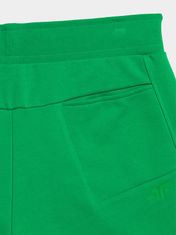 4F Pánske šortkové plavky Phugorrin zelená M