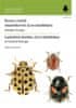 Chrobáky čeľade slunéčkovití (Coccinellidae) strednej Európy / Ladybird beetles (Coccinellidae) of Central Europe
