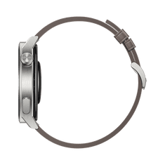 Huawei Watch GT 3 Pro 46 mm Titan + Gray leather