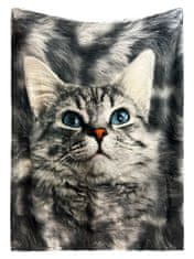 EXCELLENT Mikroplyšová teplá deka sivá 130x150 cm - Mačka
