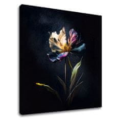 ARTMIE Dizajnová dekorácia na plátne Tajomný kvet v noci | 50x50 cm