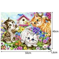 Maaleo  22781 Maľovanie podľa čísel - Mačky 40 x 50 cm