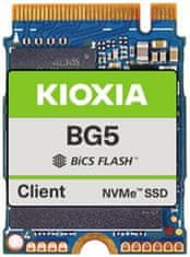 KIOXIA BG5, M.2 - 512GB (KBG50ZNS512G)