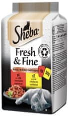 Sheba Fresh & Fine kapsičky pre dospelé mačky exkluzívny výber v šťave 72x50 g