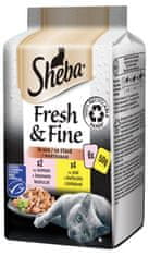 Sheba Fresh & Fine kapsičky pre mačky mixovaný výber v šťave 72x50 g