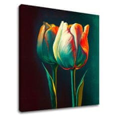 ARTMIE Dizajnová dekorácia na plátne Ráno s tulipánom | 60x60 cm