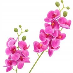 BTS Umelá orchidea vetva 75 cm