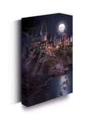 Epee Harry Potter Obraz LED svietiaci 30x40 cm - Bradavice hrad