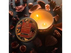 Tesori d´Oriente Tesori d'Oriente Japanese Rituals sviečka s vôňou 200 g 