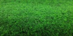 Betap AKCIA: 160x230 cm Umelá tráva Green 20 metráž (Rozmer metrového tovaru Spodná časť s nopmi (na pevné podklady))