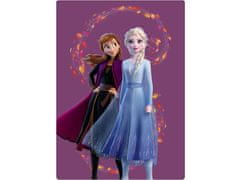 BrandMac Detská deka Frozen II Anna a Elsa