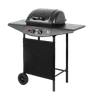 Teesa BBQ 2000 Plynový gril - 2 horáky