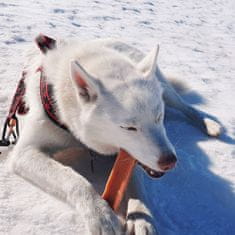 The Explorer Dog EXPLORER DOG Himalájska tyčka XL