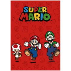 Sahinler Textile Fleecová deka Super Mario & Luigi