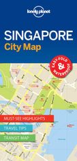 Lonely Planet WFLP Singapur City Map 1st edition