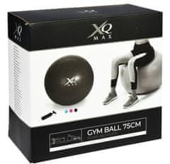 XQMAX Gymnastický míč KO-8DM000340ruzo Gymnastický míč GYMBALL XQ MAX 75 cm růžová