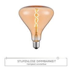 PAUL NEUHAUS Leuchten DIRECT LED Filament, dekoratívne žiarovka, 6W E27 3000K DIM 08453 LD 08453