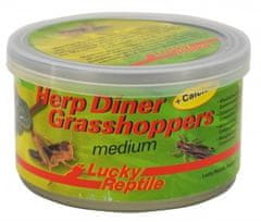 Lucky Reptile Herp Diner - sarančatá 35g cca 50 stredných