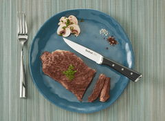 Tefal ICE FORCE 4x nerezový nôž na steak 11 cm