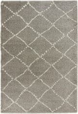 Mint Rugs Kusový koberec Allure 102752 grau creme 120x170