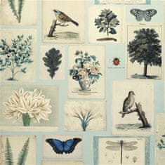 JOHN DERIAN Tapeta FLORA AND FAUNA CLOUD BLUE, kolekcia PICTURE BOOK PAPERS