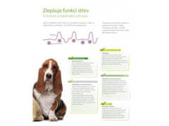 WePharm WEBIOTIC FAST 12ml pre psov a mačky na obnovenie črevnej mikroflóry