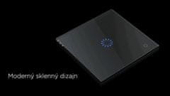 HEVOLTA Glasense sklenený vypínač 2-tlačidlový, WiFi, Graphenium Black