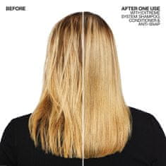 Redken Intenzívna bezoplachová kúra pre scitlivené a poškodené vlasy Extreme (Anti-Snap Anti-Breakage Leave (Objem 250 ml - nové balení)