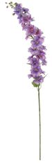 Shishi Delphinium fialový kvet 130 cm